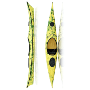 kayak pinguin